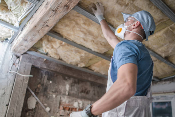 Best Insulation Installation Services in Urbana, IA